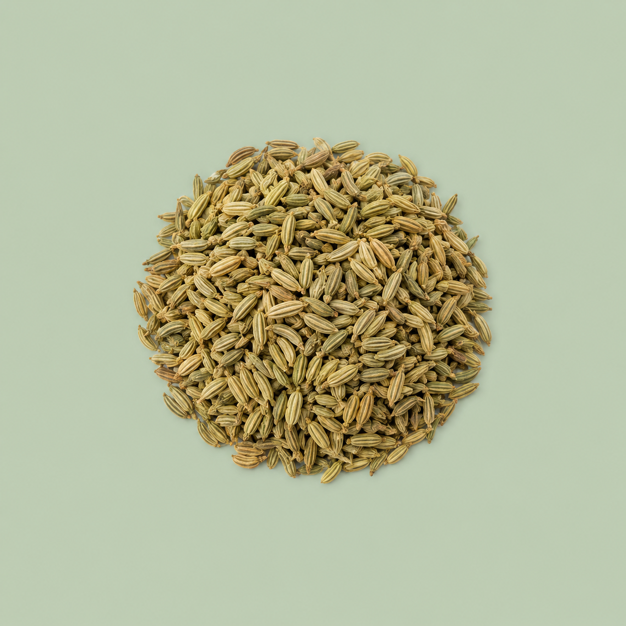 SPICE BOX WITH 6 SPICES
