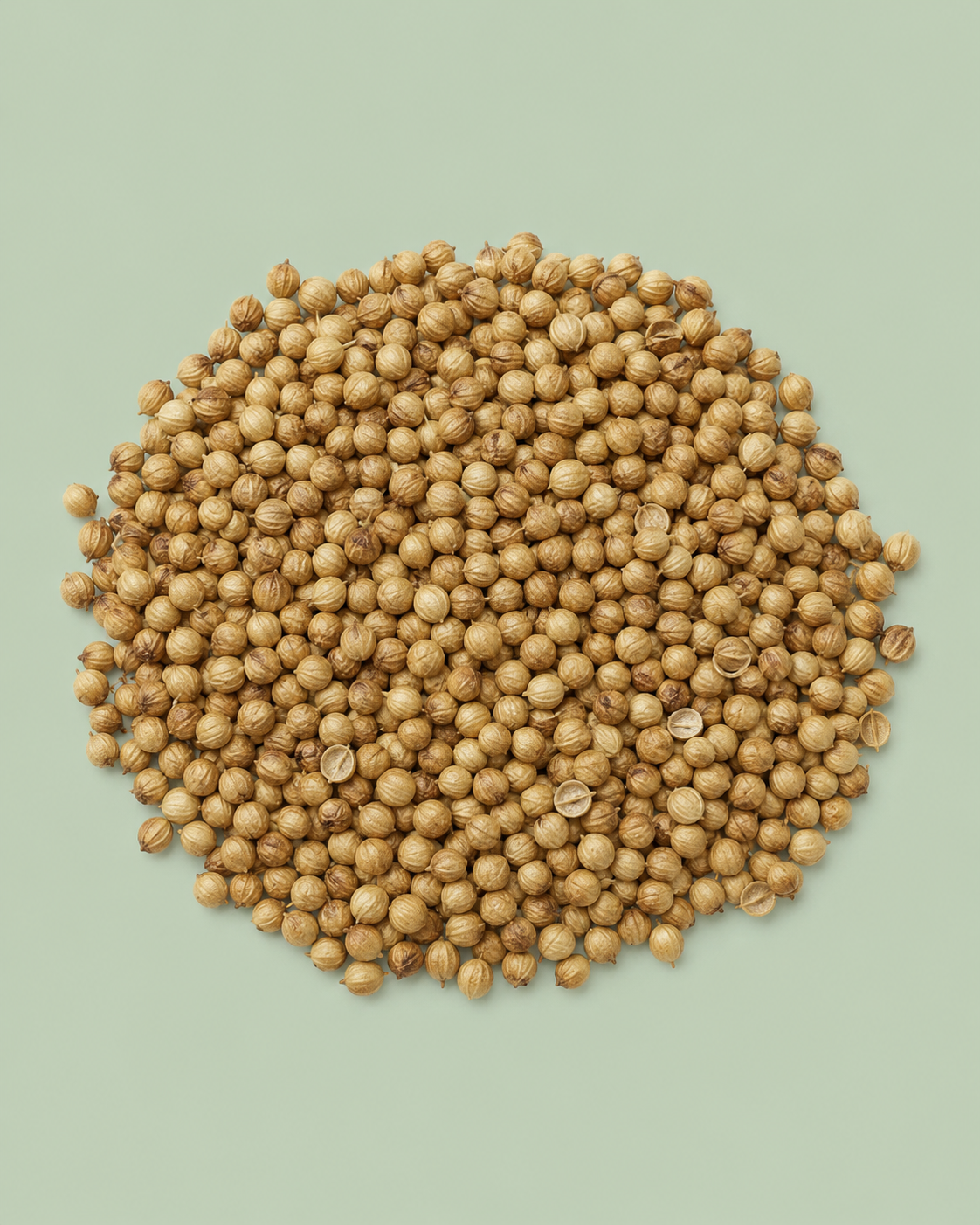 Whole coriander seeds 40 g – image 2