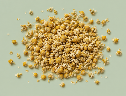 CHAMOMILE FLOWERS