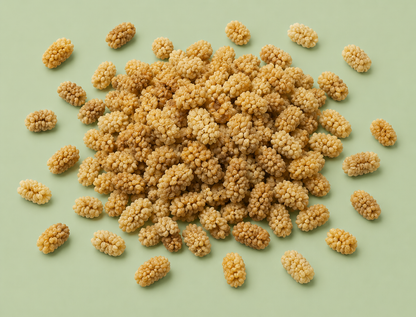 SUN-DRIED WHITE MULBERRIES