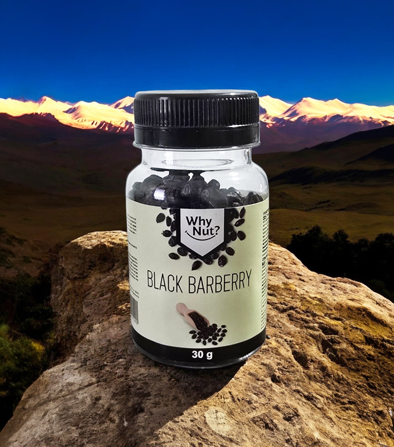 Svart Berberis (Torkad)